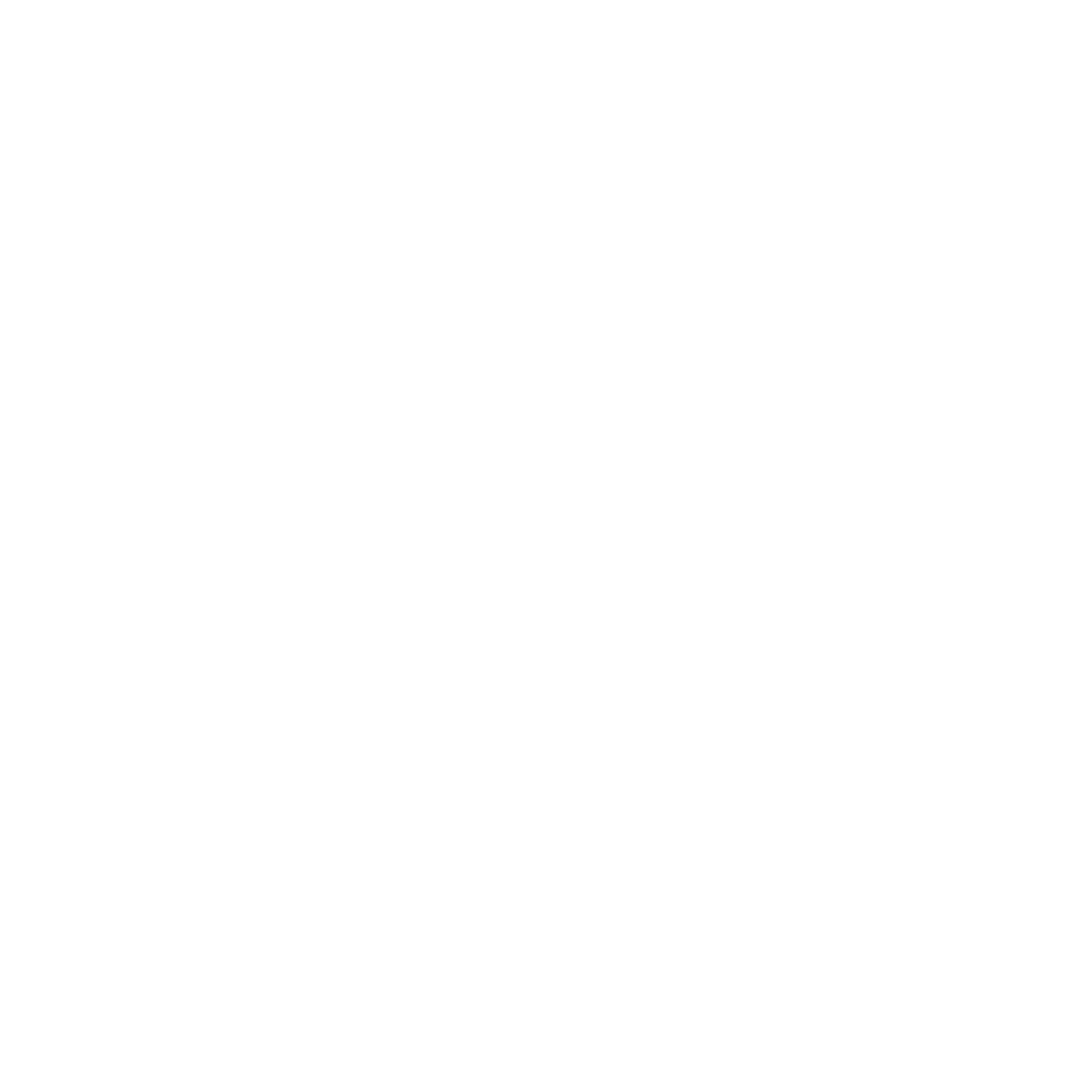 Nicola Foundation Logo